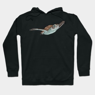 Green Sea Turtle 2 Hoodie